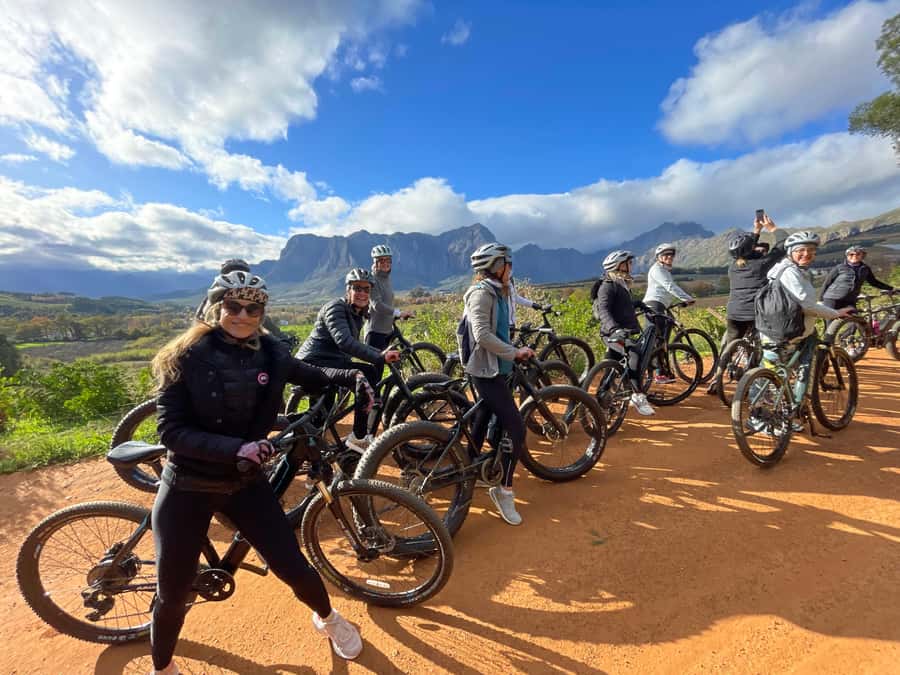 E-Bike Stellenbosch Winelands - Full Day Private Tour - Tokara combines wine, olives, and mountain views