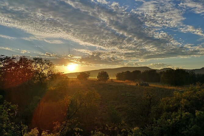 Early Morning Balloon Safari with Breakfast from Magaliesburg - Weather, timing, and the risk of a changed morning