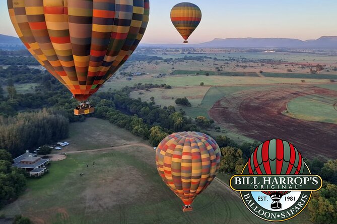 Early Morning Balloon Safari with Breakfast from Magaliesburg - Who will enjoy this most?