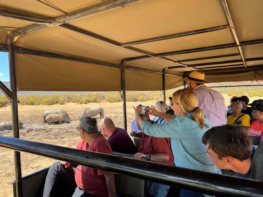 Early Morning Safari Big Five Experience Near Cape Town, SA - FAQ