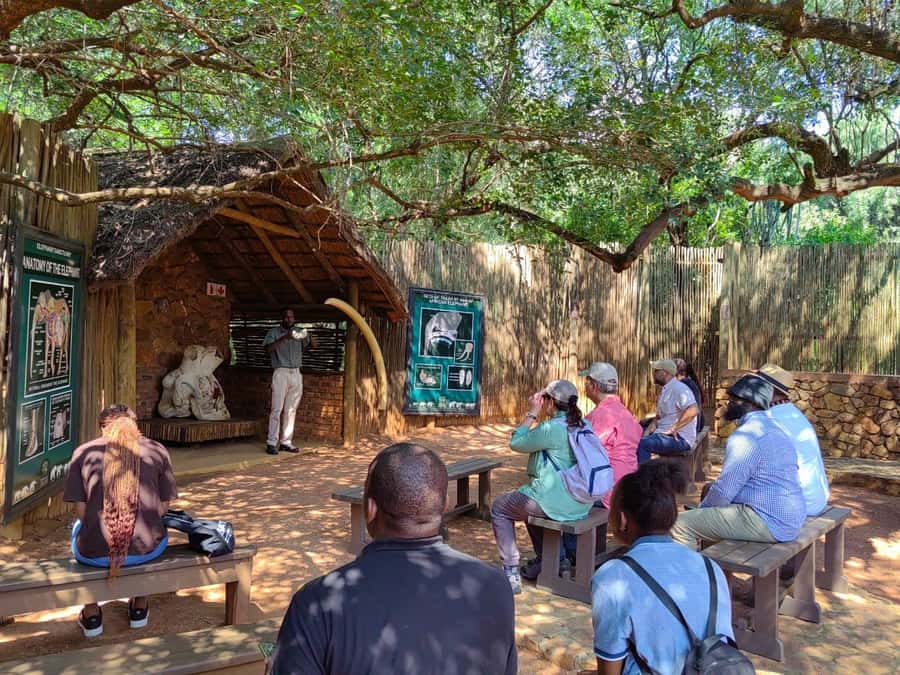 Elephant & Monkey Santuary with Lion Park Tour - The Elephant Sanctuary near Hartbeespoort