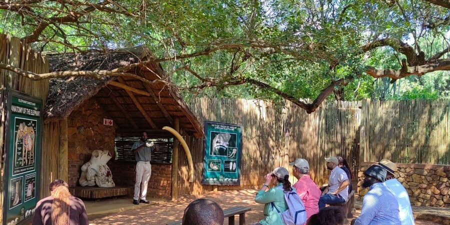 Elephant & Monkey Santuary with Lion Park Tour - Practical tips before you reserve
