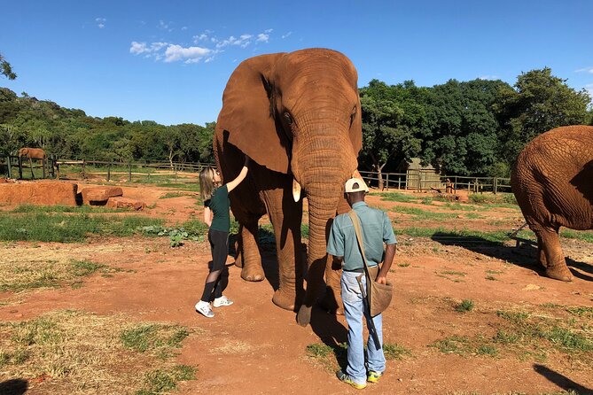 Elephant Sanctuary Tour from Johannesburg - The 1.5-hour ride from Johannesburg