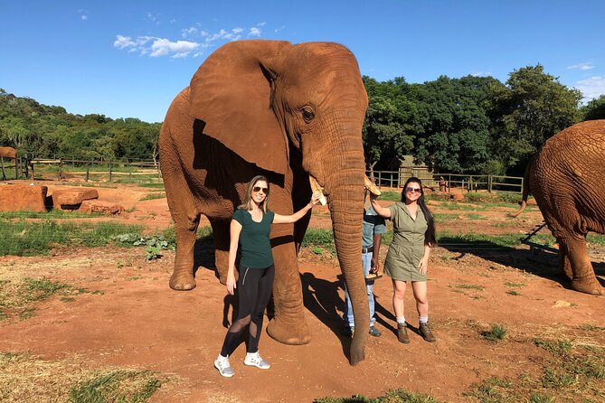 Elephant Sanctuary Tour from Johannesburg - Is $245 a fair price?
