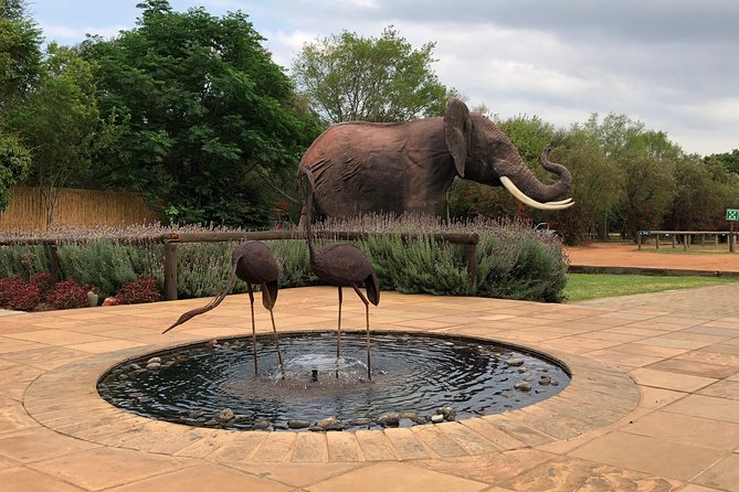 Elephant Sanctuary Tour from Johannesburg - Who should book this experience?