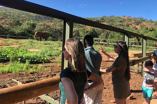 Elephant Sanctuary Tour from Johannesburg - Practical booking advice