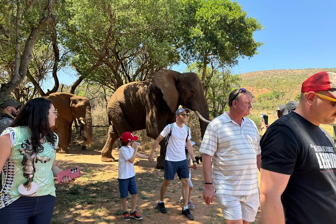 Elephant Sanctuary Tour from Johannesburg - Arrival and the sanctuary introduction