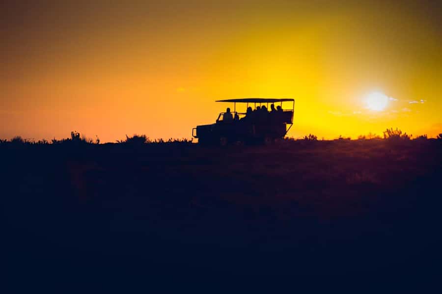 Evening Pilanesberg Safari Tour from Sun City - The real price of the outing