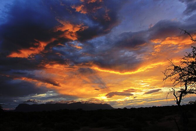 Exclusive Sunset Game Drive Safari near Hoedspruit - Key points to know before you book