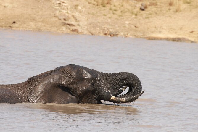 Exclusive Sunset Game Drive Safari near Hoedspruit - Is the $112.20 price good value?