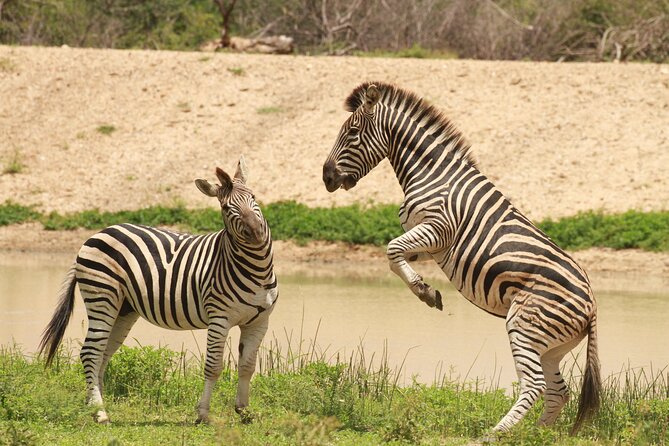 Exclusive Sunset Game Drive Safari near Hoedspruit - Booking, timing, and cancellation details