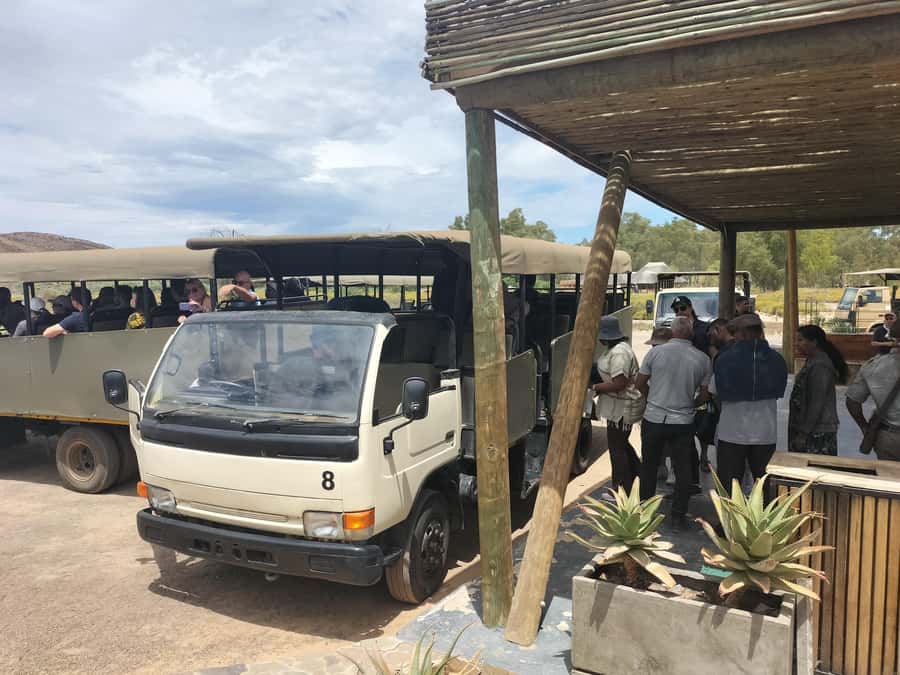 Experience an Amazing Big5 Safari near Cape Town! - Should you book the Aquila safari?