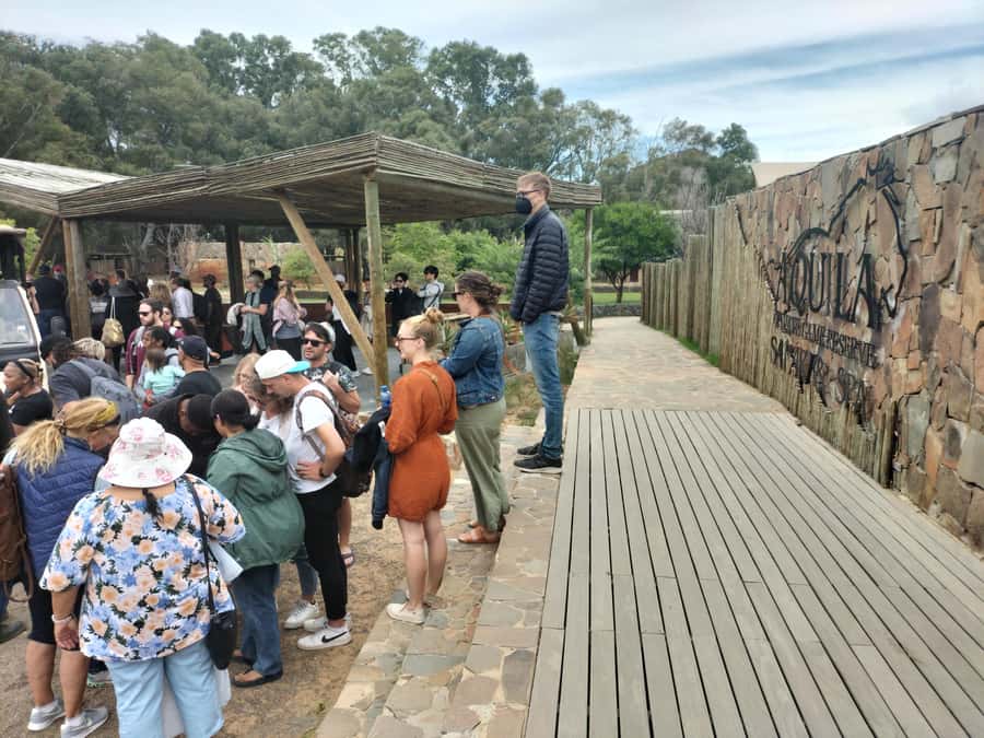 Experience an Amazing Big5 Safari near Cape Town! - Why the guide can shape the whole day