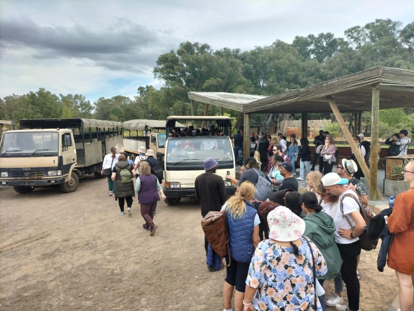 Experience an Amazing Big5 Safari near Cape Town! - What to wear and bring