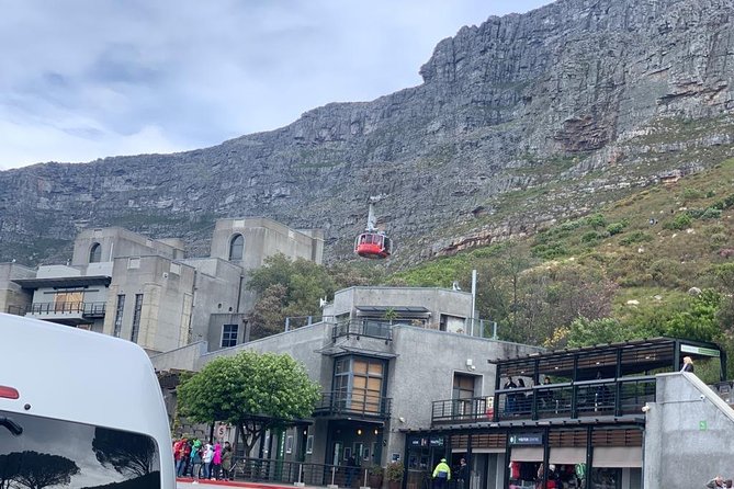 Experience views of Cape Town with Robben Island &Table Mountain full day tour - Who will like this tour most