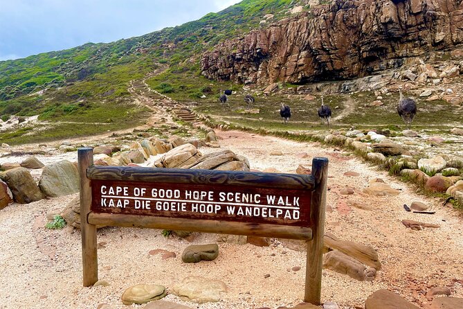 Explore Cape of Good Hope and Boulders Beach Private Tour - Cape of Good Hope brings history and open views