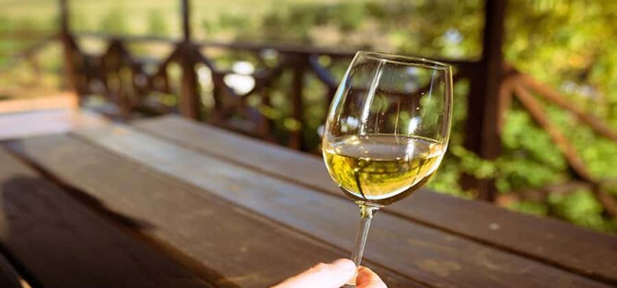 Explore Table Mountain, Kirstenbosch, & Constantia wineries. - Two hours among Kirstenbosch plants