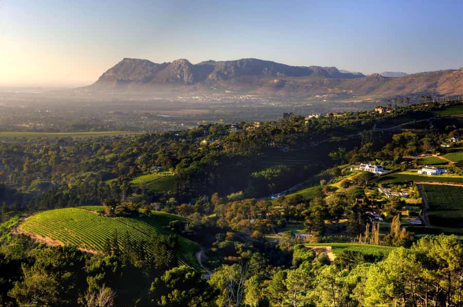 Explore Table Mountain, Kirstenbosch, & Constantia wineries. - What the private format adds
