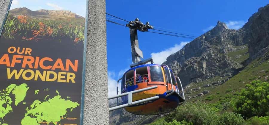 Explore Table Mountain, Kirstenbosch, & Constantia wineries. - Timing, weather, and small practical matters