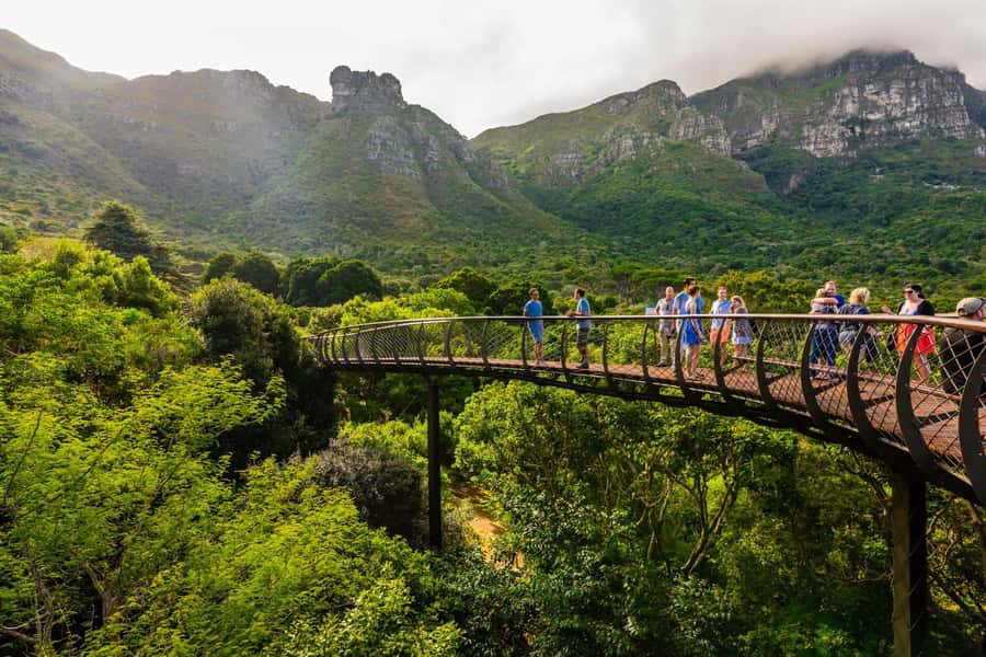 Explore Table Mountain, Kirstenbosch, & Constantia wineries. - Is the $155 price fair?