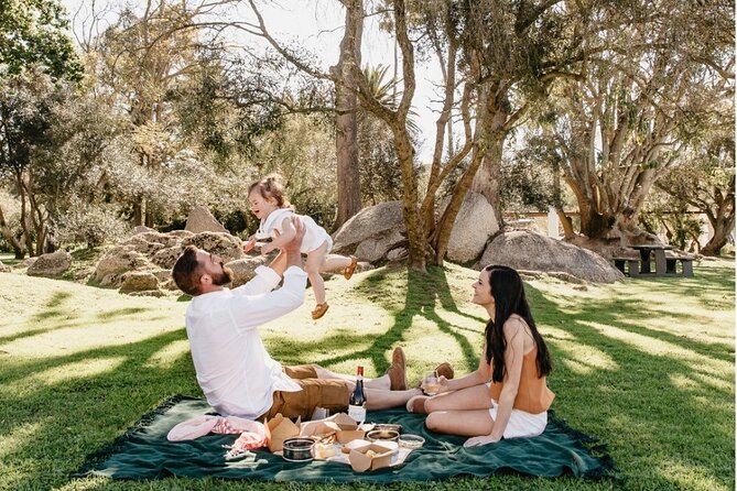 Family Friendly Wine Tour Cape Town - Rickety Bridge: a longer wine estate visit