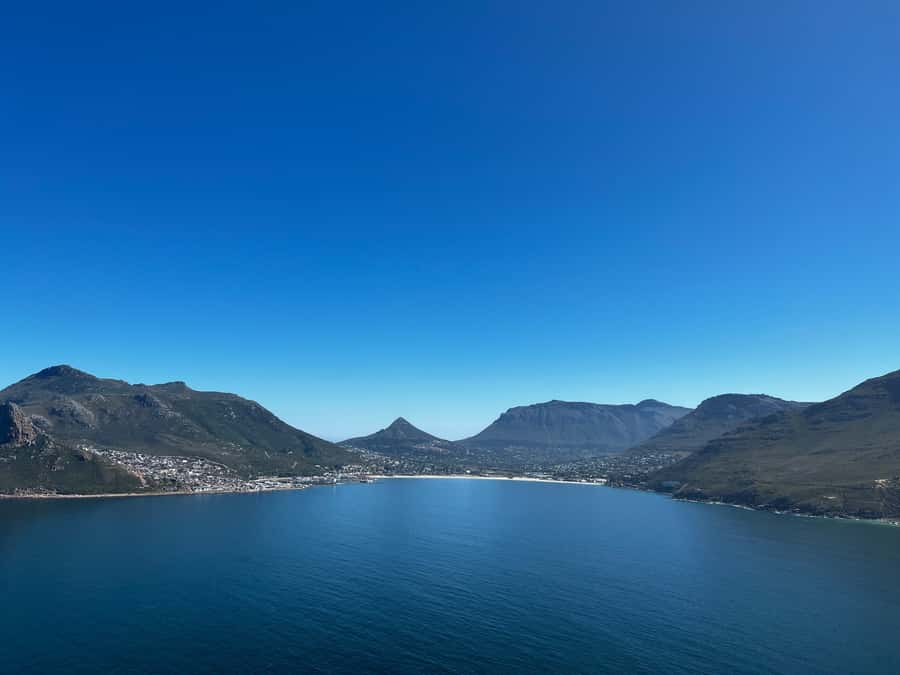 Fascinating Cape Peninsula Experience (private & exclusiv) - Cape fynbos along the road