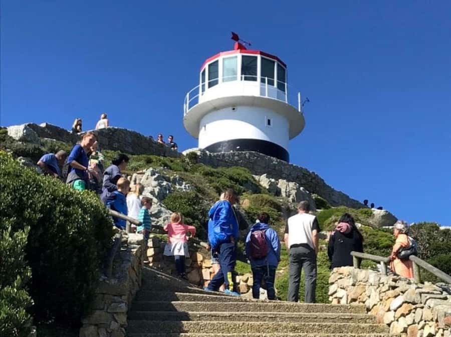 Fascinating Cape Peninsula Experience (private & exclusiv) - Boulders and the African penguins