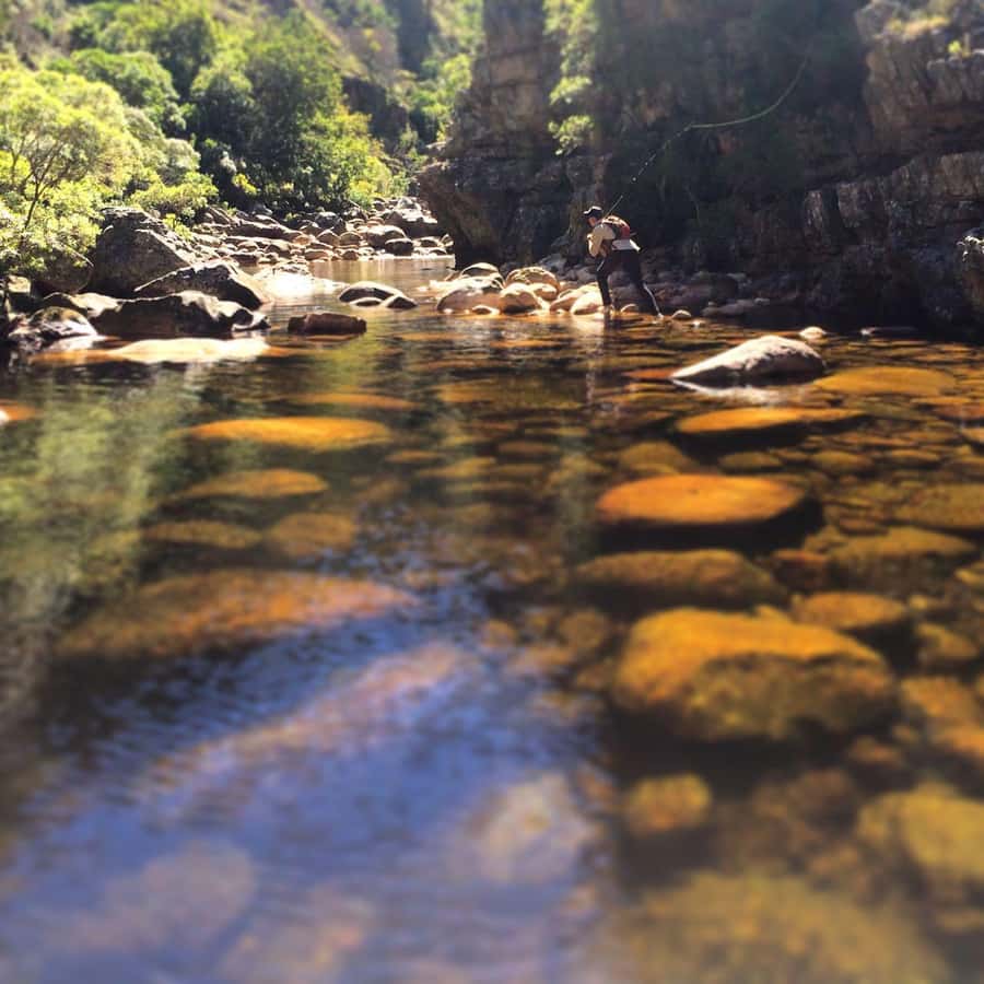 Fly Fishing in Cape Town - What the $280 price includes