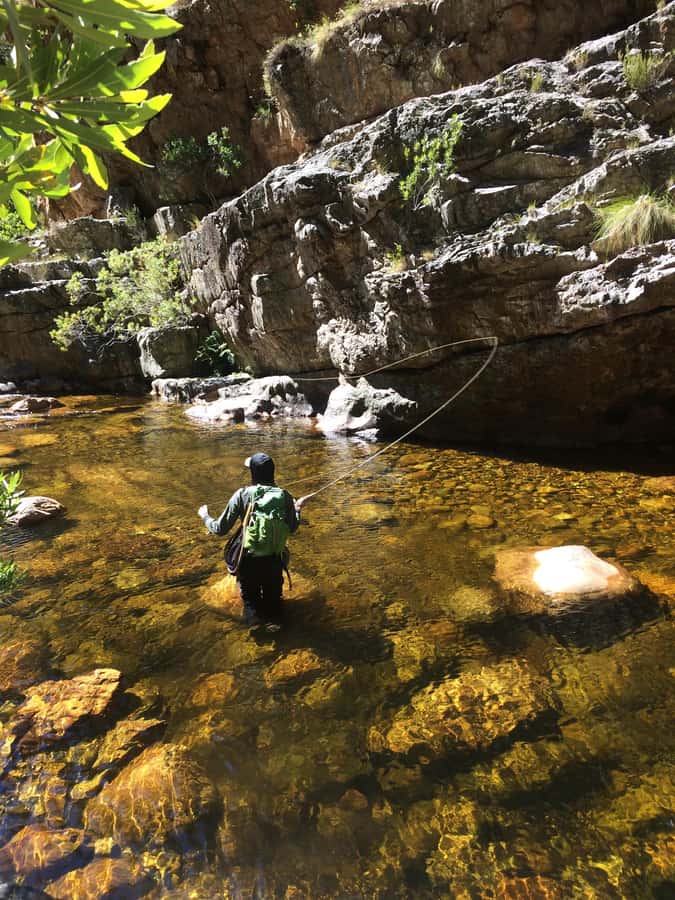 Fly Fishing in Cape Town - Who will enjoy this outing most