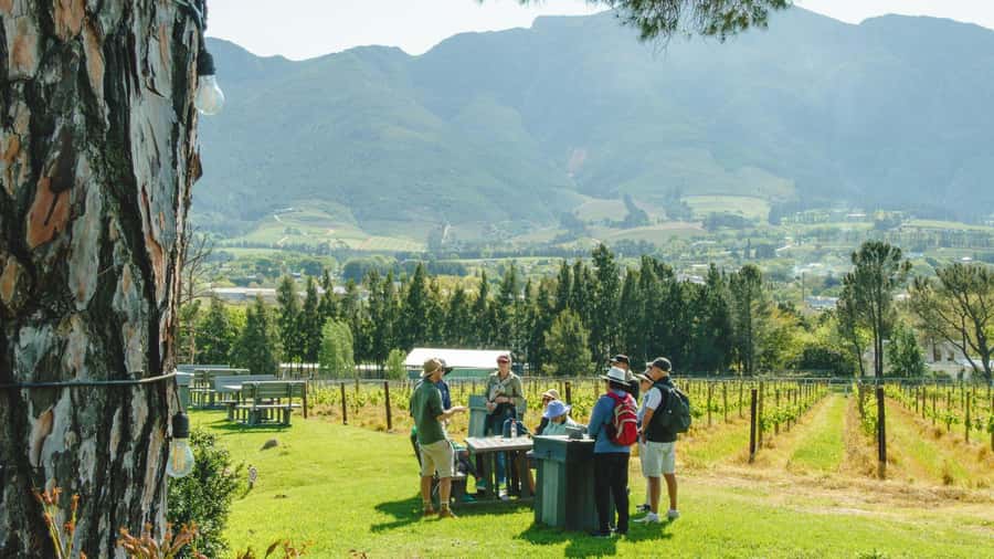 Franschhoek: An enchanting storytelling walk to 3 wine farms - Key points of the Franschhoek wine walk