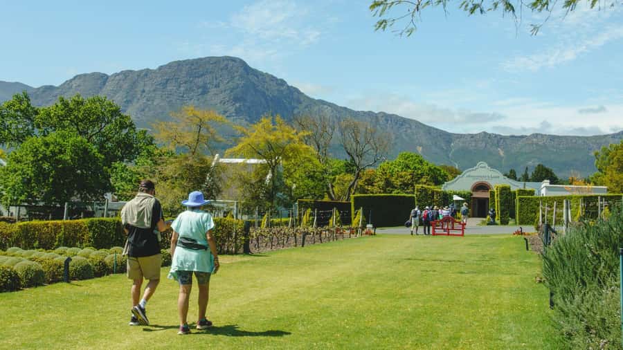 Franschhoek: An enchanting storytelling walk to 3 wine farms - Why walking gives Franschhoek a better rhythm