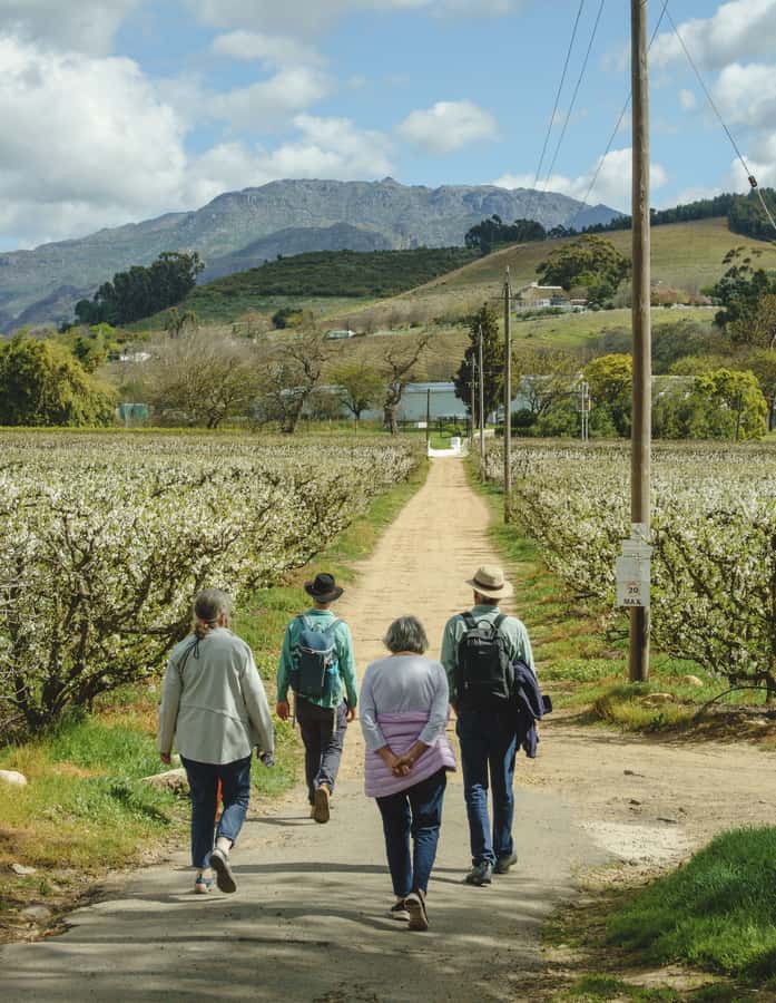 Franschhoek: An enchanting storytelling walk to 3 wine farms - Who will enjoy this tour most