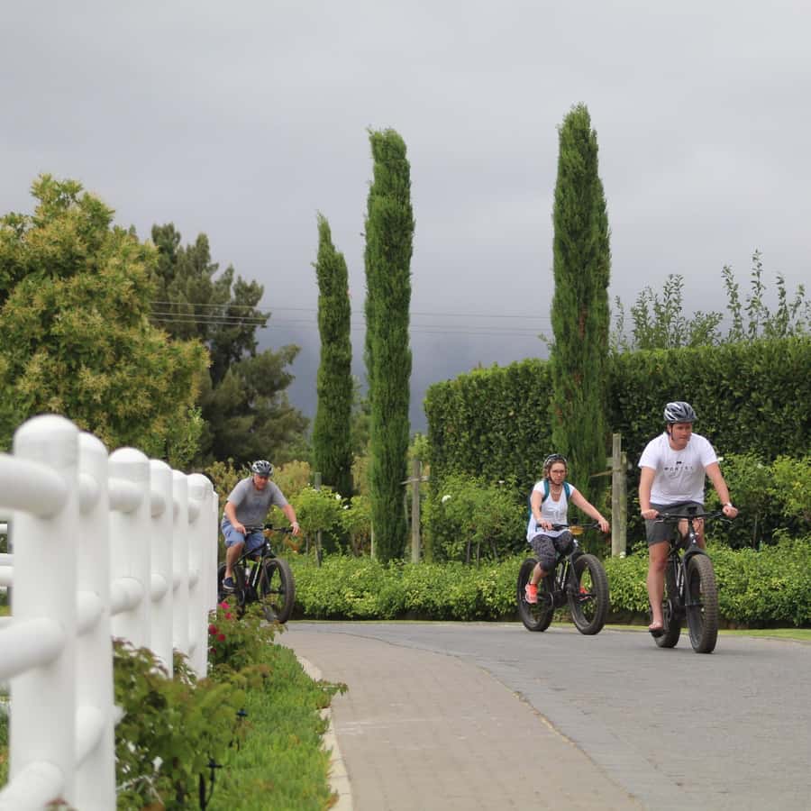 Franschhoek: E-Bike Guided Winery Tour - Why an e-bike works so well in Franschhoek