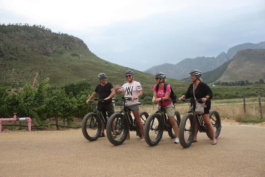 Franschhoek: E-Bike Guided Winery Tour - Who will enjoy this tour most