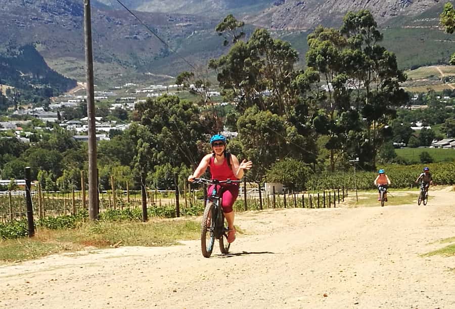 Franschhoek: E-bike Tour with Wine Tasting and Lunch - Key points to know before you book