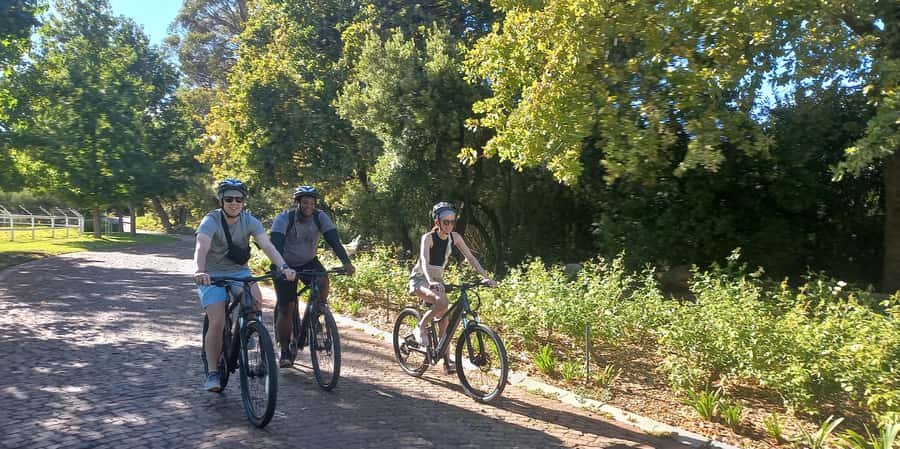 Franschhoek E-Bike & Wine Tour - Why an e-bike is the right way to see Franschhoek