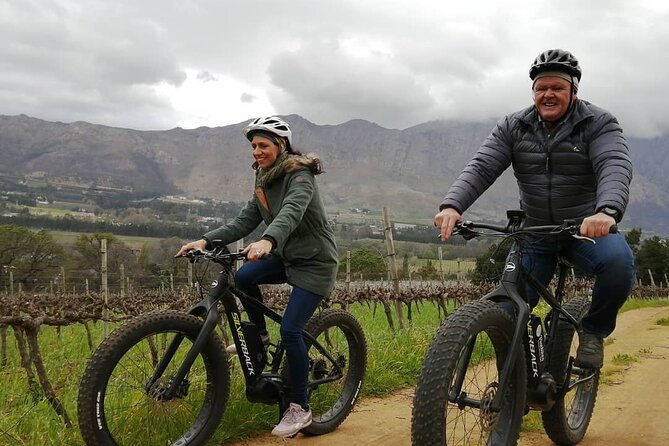 Franschhoek E-Bike Wine Tour (Half Day) - Bike condition and comfort