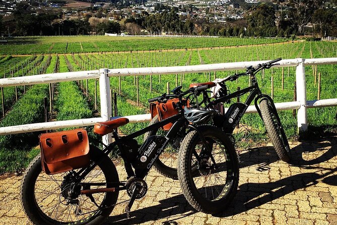Franschhoek E-Bike Wine Tour (Half Day) - Morning or afternoon: choosing your time