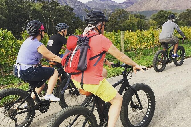 Franschhoek E-Bike Wine Tour (Half Day) - Is the $69.26 price good value?