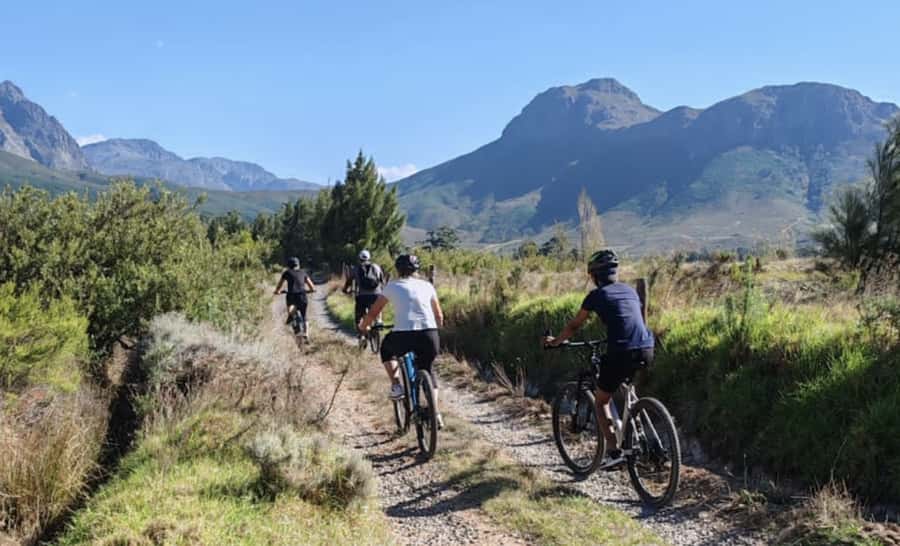 Franschhoek: E-Bike & Wine Tour (Shared Tour) - Key points worth knowing