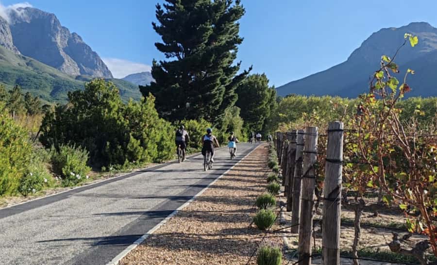 Franschhoek: E-Bike & Wine Tour (Shared Tour) - Cycling through Franschhoek at a sensible pace