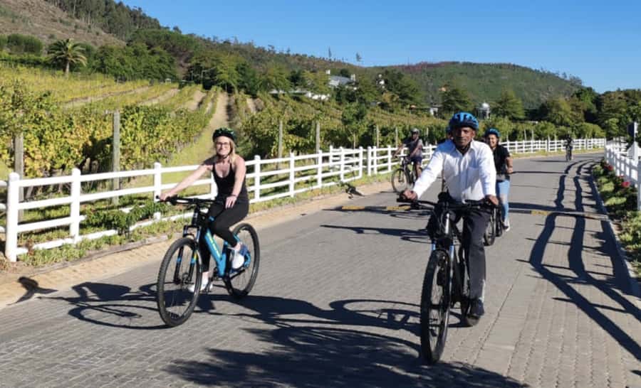 Franschhoek: E-Bike & Wine Tour (Shared Tour) - Two estates, premium tastings, and one important clarification