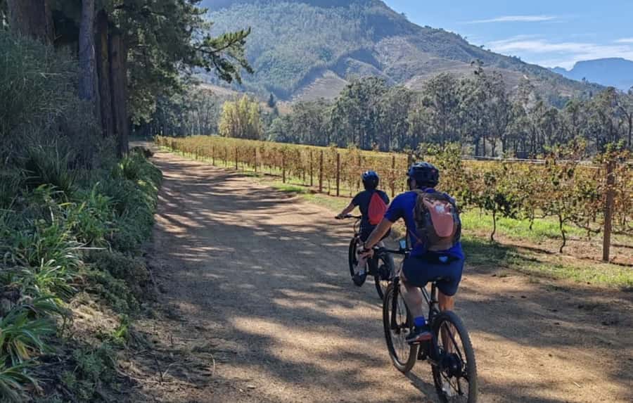 Franschhoek: E-Bike & Wine Tour (Shared Tour) - How demanding is the e-bike ride?