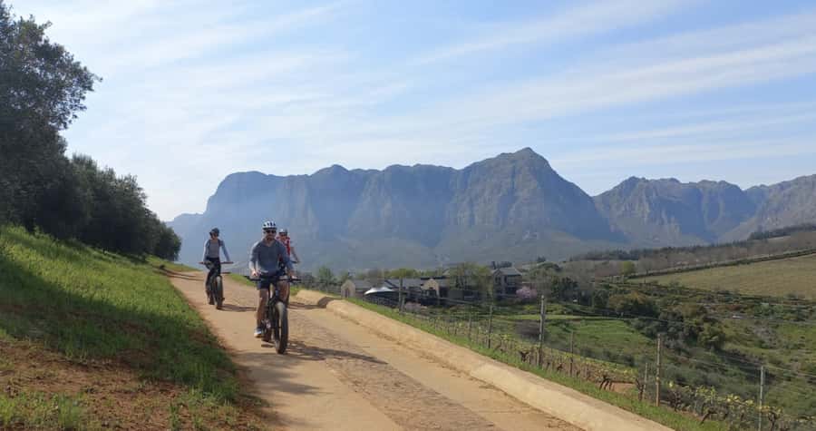 Franschhoek: E-Bike & Wine Tour (Shared Tour) - What the $108 price means in practice