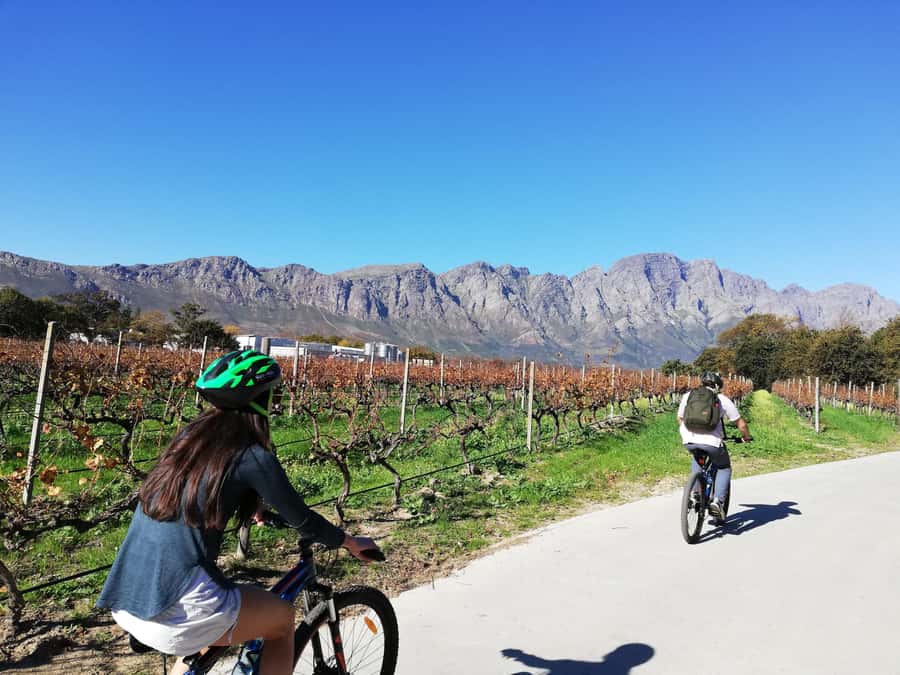 Franschhoek: Private E-bike Ride & Wine Experience - La Bri and the wine pairing