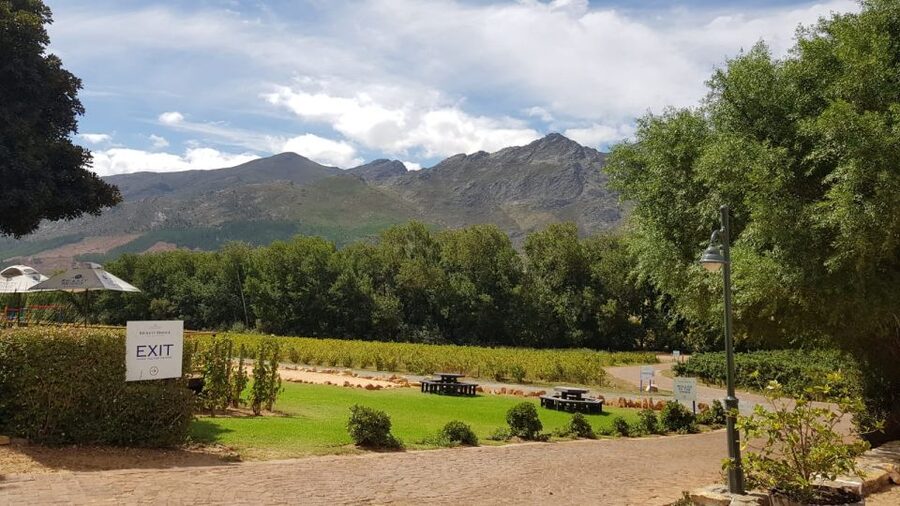 Franschhoek & Stellenbosch: Full-Day Wine Tour - Meeting the winemaker and seeing the cellar