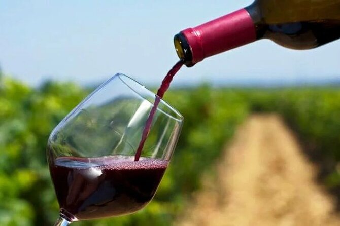 Franschhoek Wine Tram Hop On Hop Off Tour - A closer look at the listed wine estates