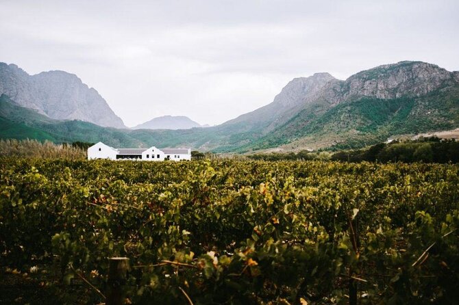 Franschhoek Wine Tram Hop-On Hop-Off Tour from Cape Town. - Leaving Cape Town for the Franschhoek valley