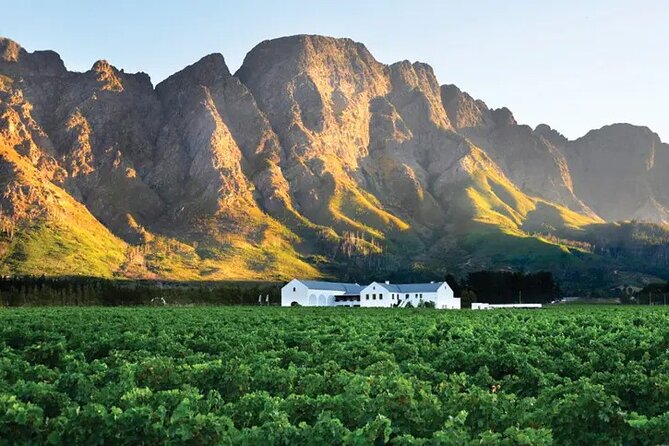 Franschhoek Wine Tram Hop-On Hop-Off Tour from Cape Town. - Choosing between the two tram routes