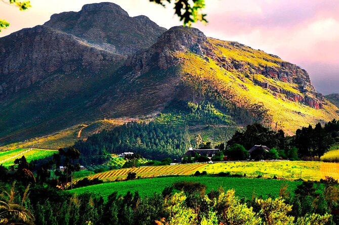 Franschhoek Wine Tram Hop-On Hop-Off Tour from Cape Town. - Who will enjoy this day most